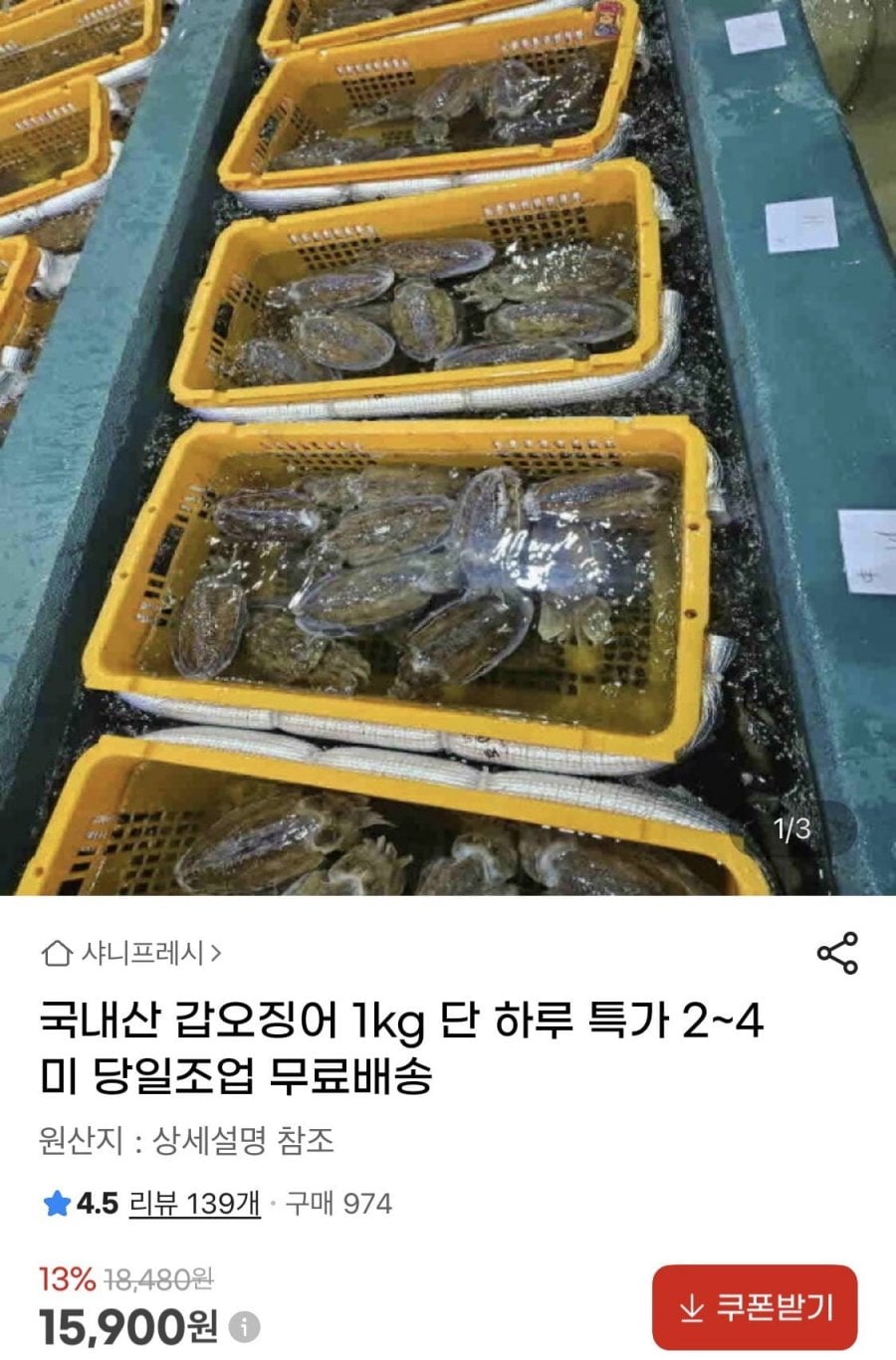 국내산 갑오징어 1kg