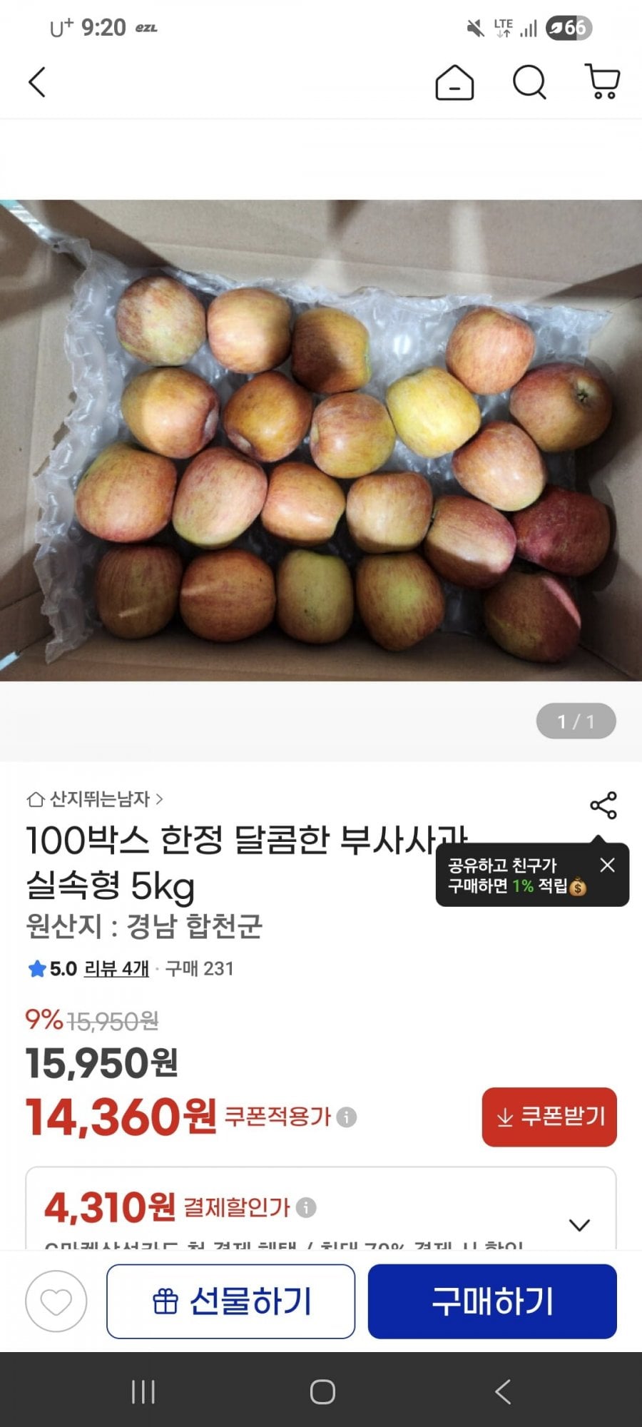 일반 부사사과 5kg
