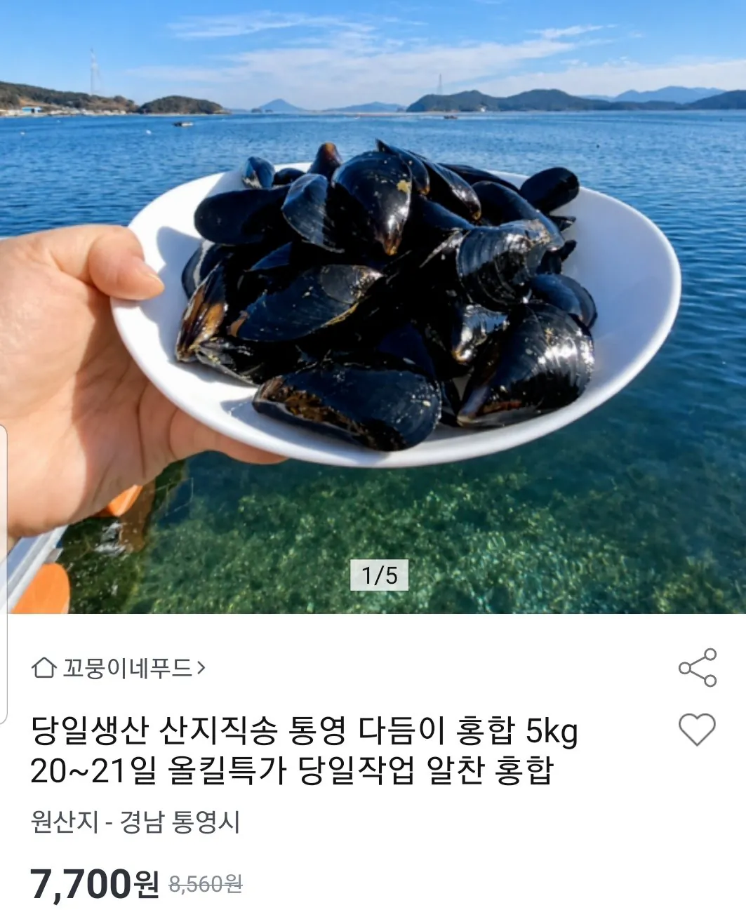 통영 다듬이홍합 5kg