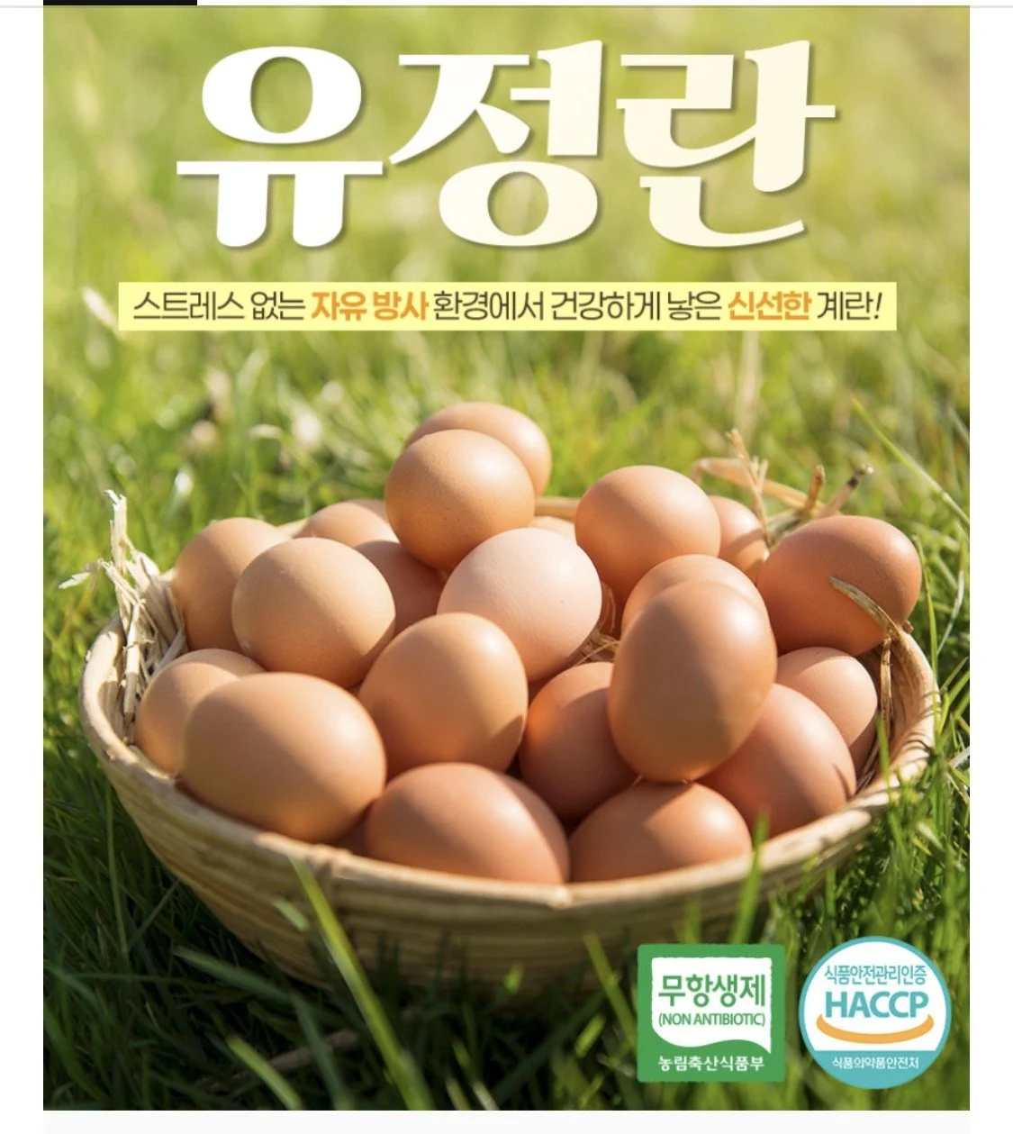 푸페선착 난각번호1번 유정란 20구 x 2판