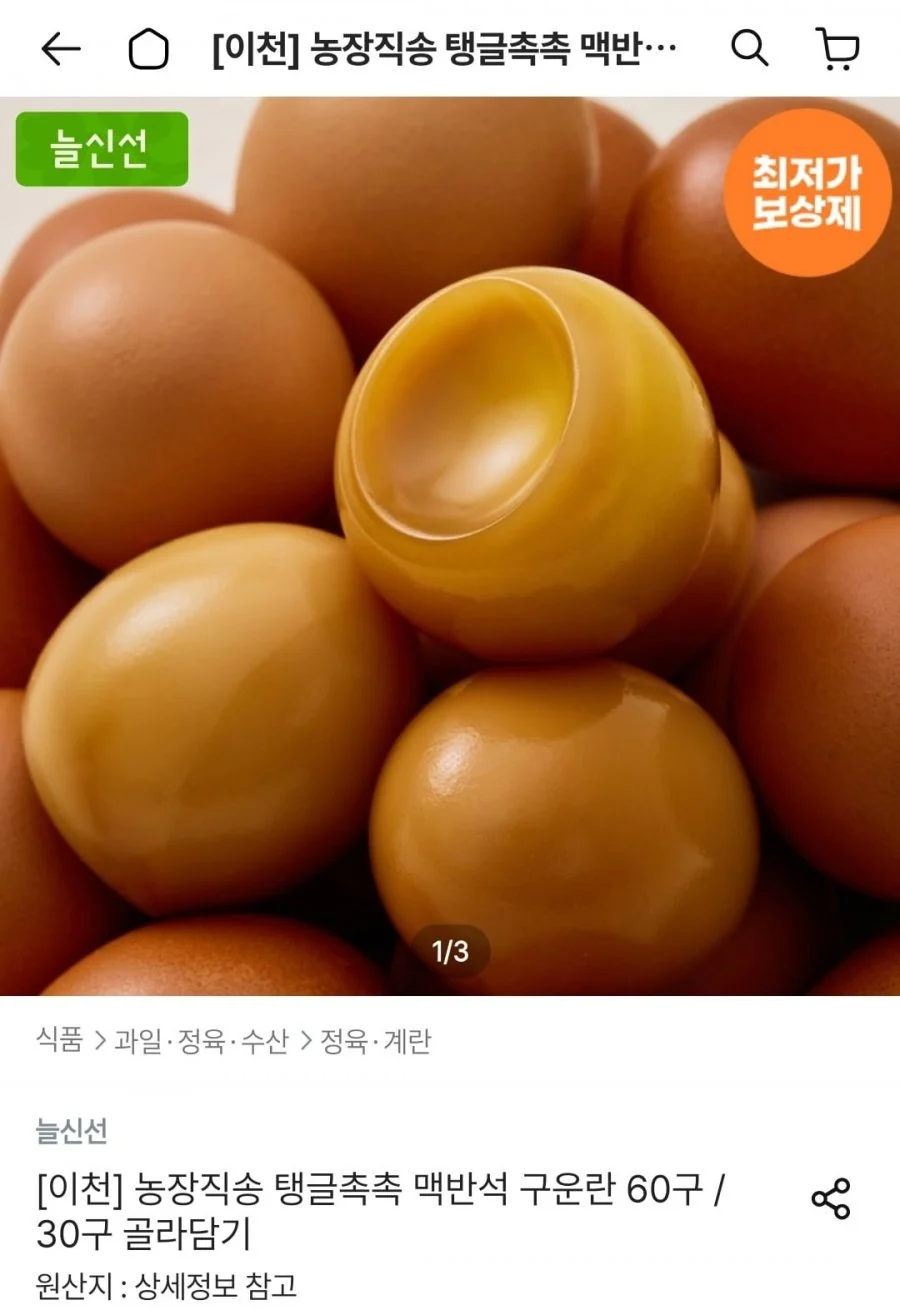 농장직송 맥반석 구운란 60구
