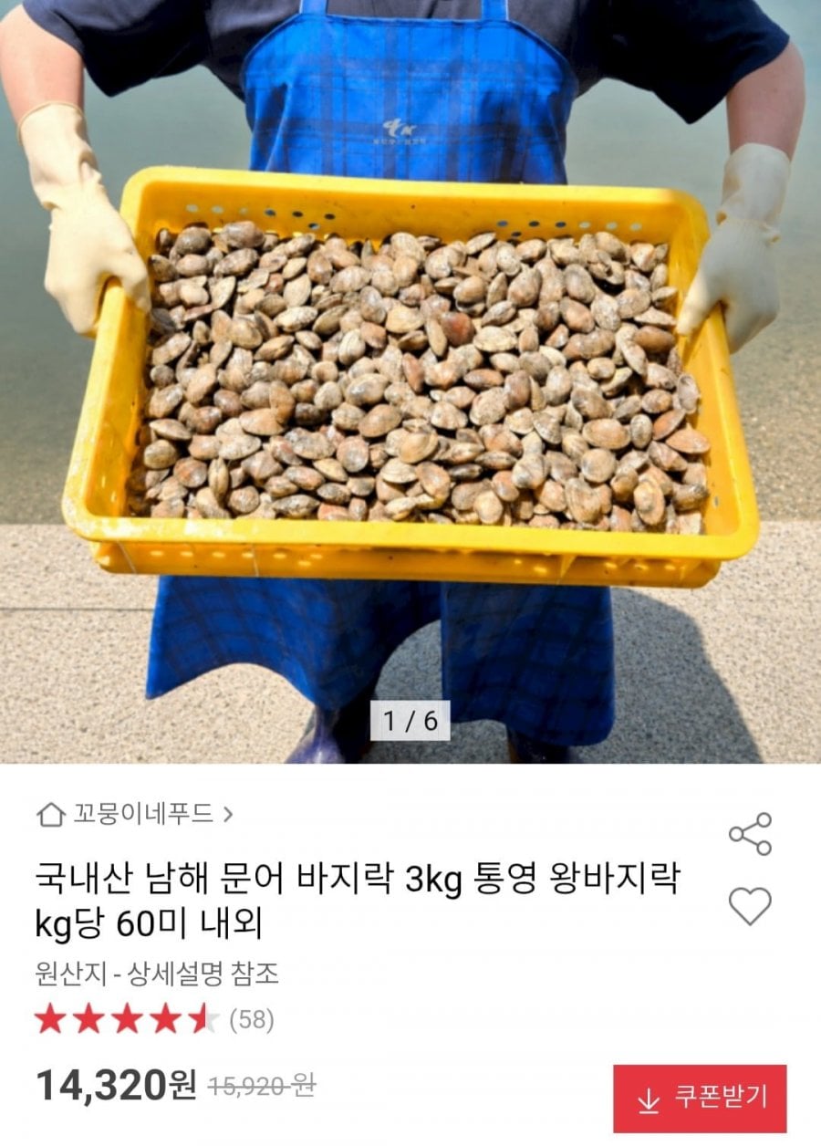 국내산 남해 바지락 3kg 통영 왕바지락 kg당 60미 내외