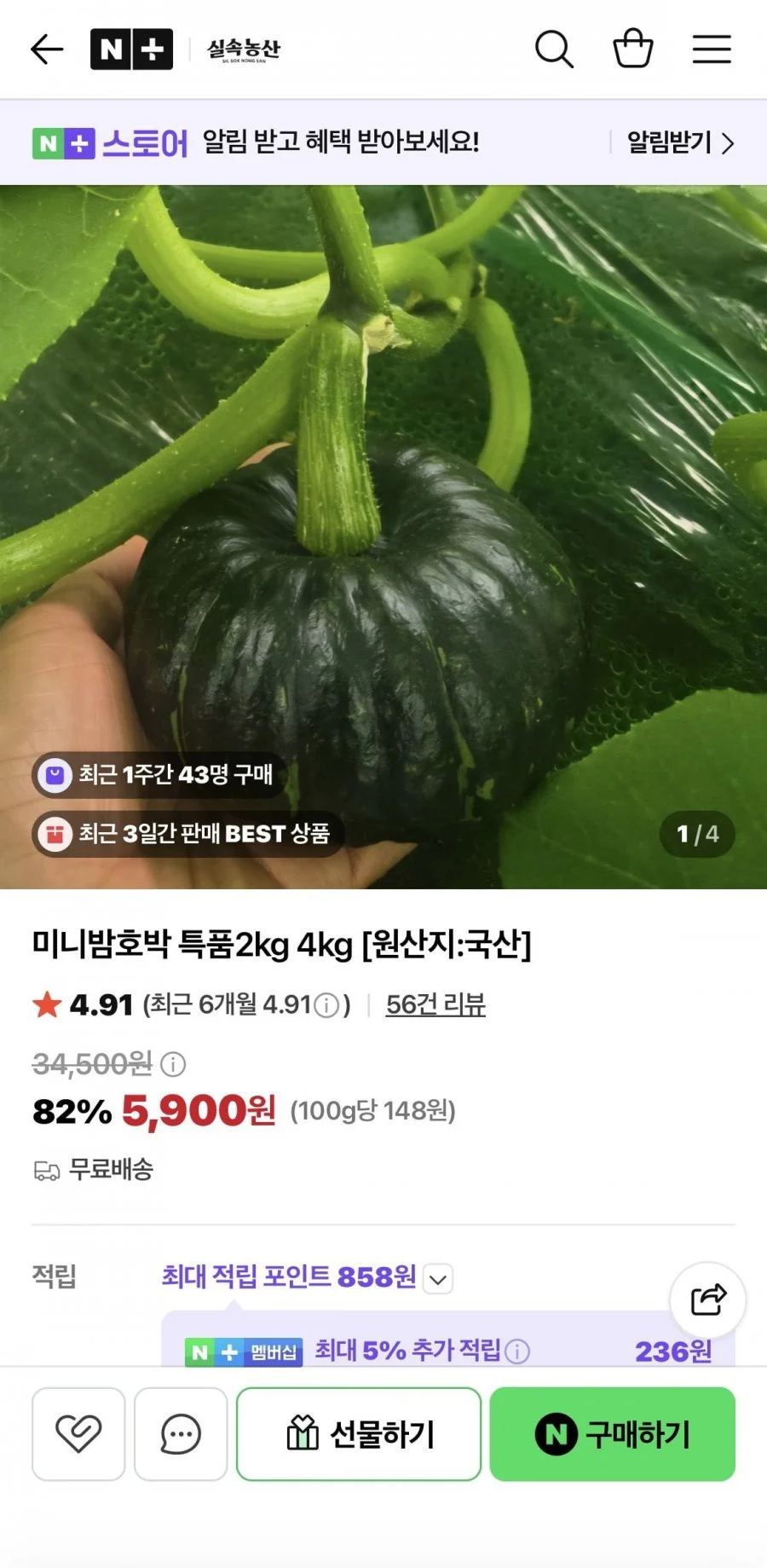 미니밤호박 특품 2kg