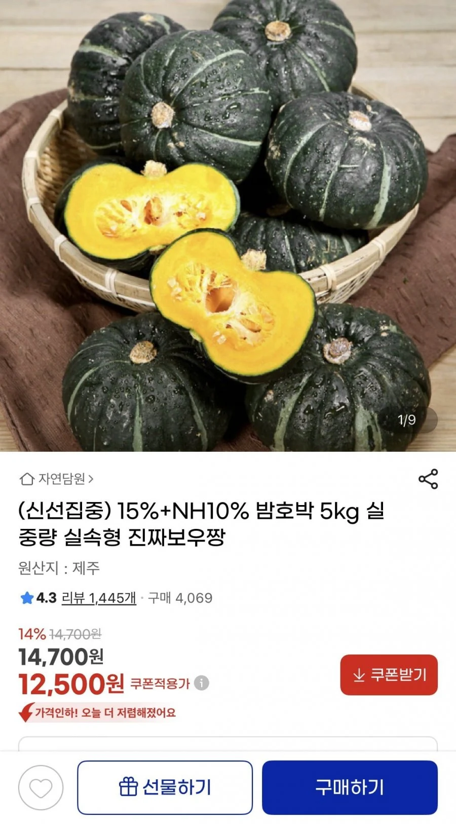 밤호박 보우짱 5kg