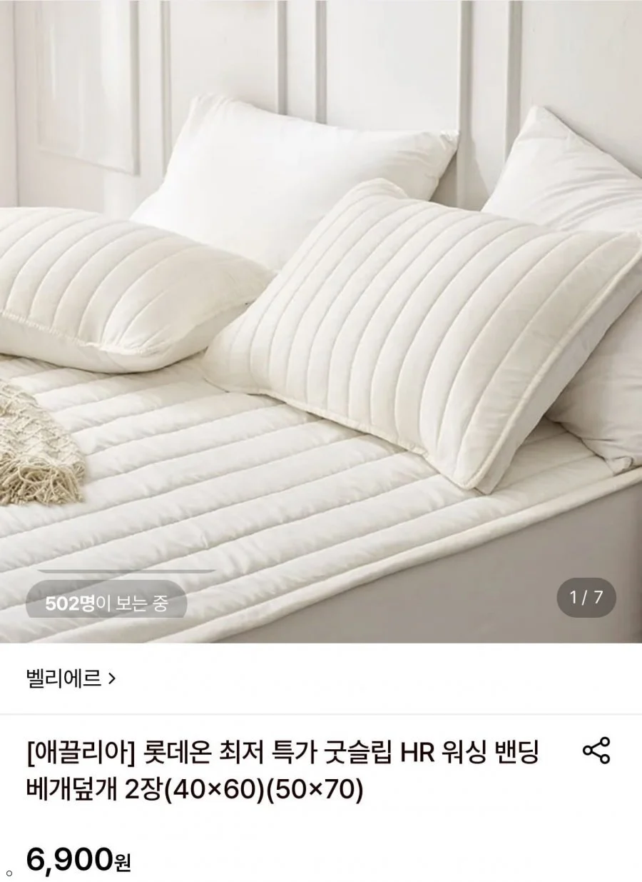 벨리에르 워시 밴딩 베개덮개 2장