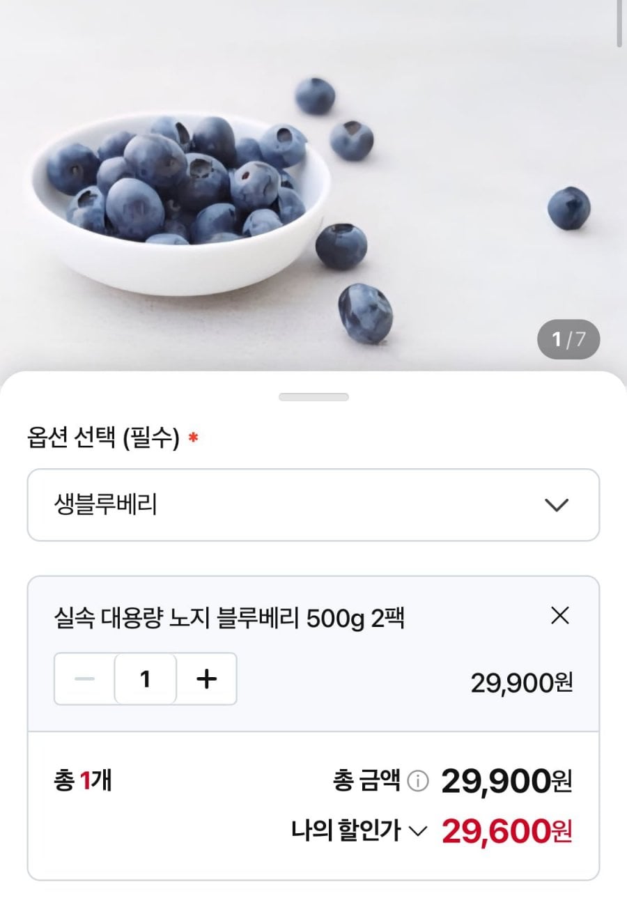 노지 블루베리 특 500g x 2팩