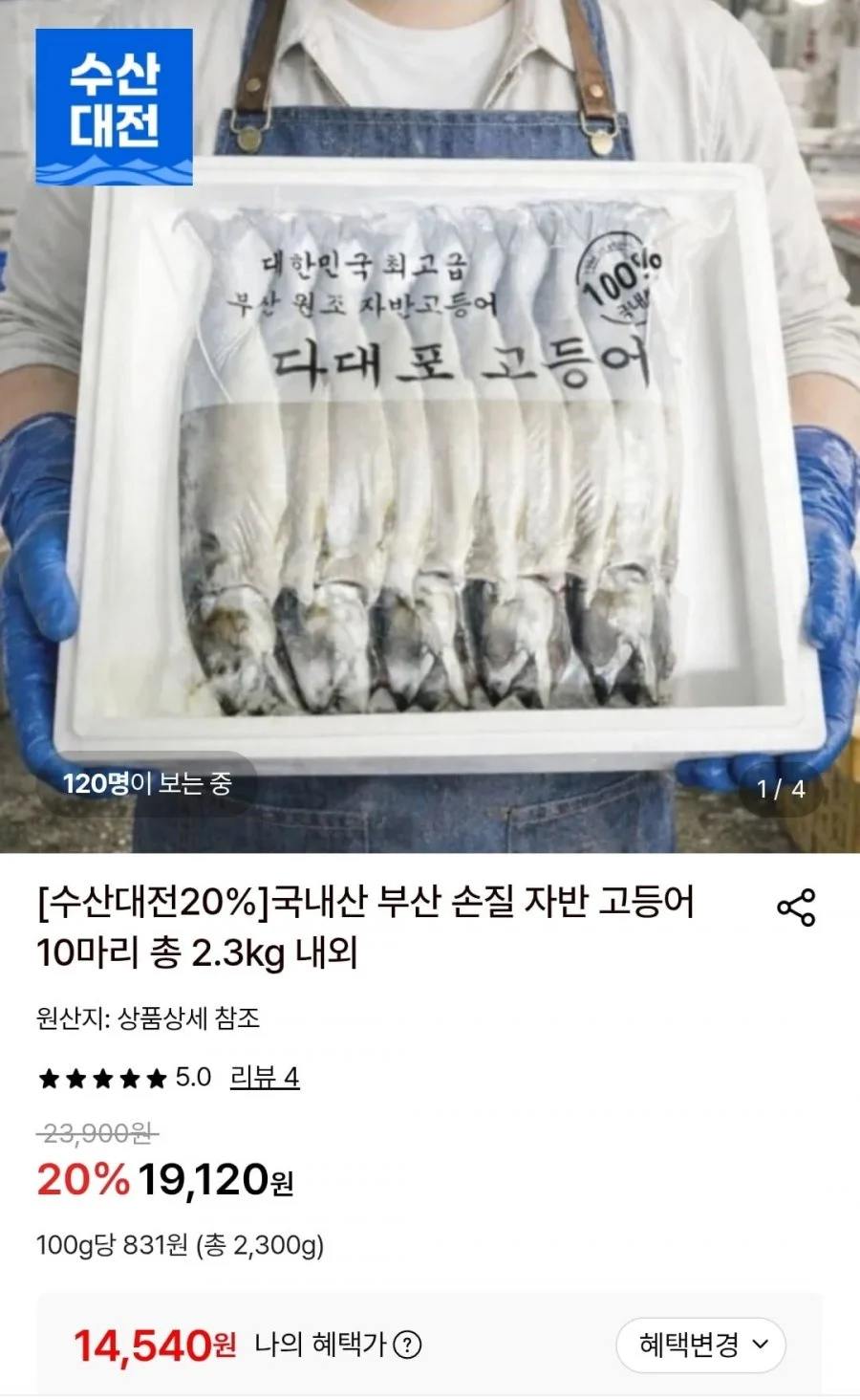 손질자반 고등어 10마리