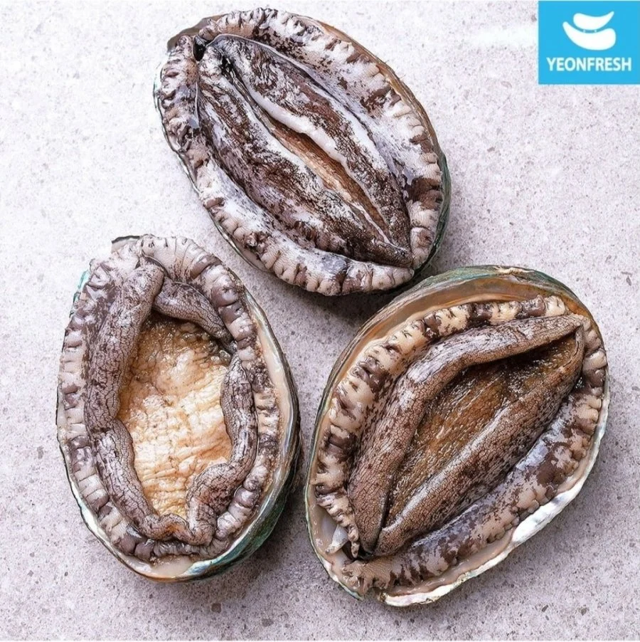 완도 활 전복 1kg 9-10미