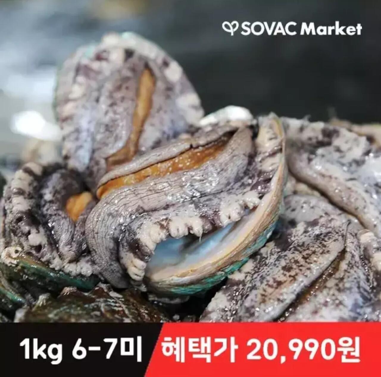완도 활 전복 1kg 6~7미