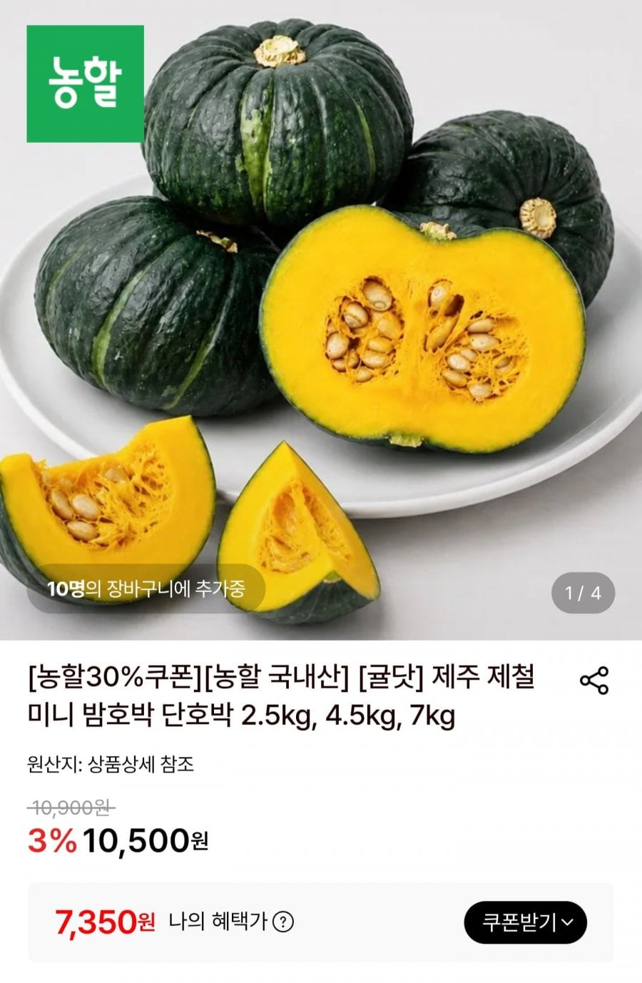 제주 미니밤호박 특품 2.5kg