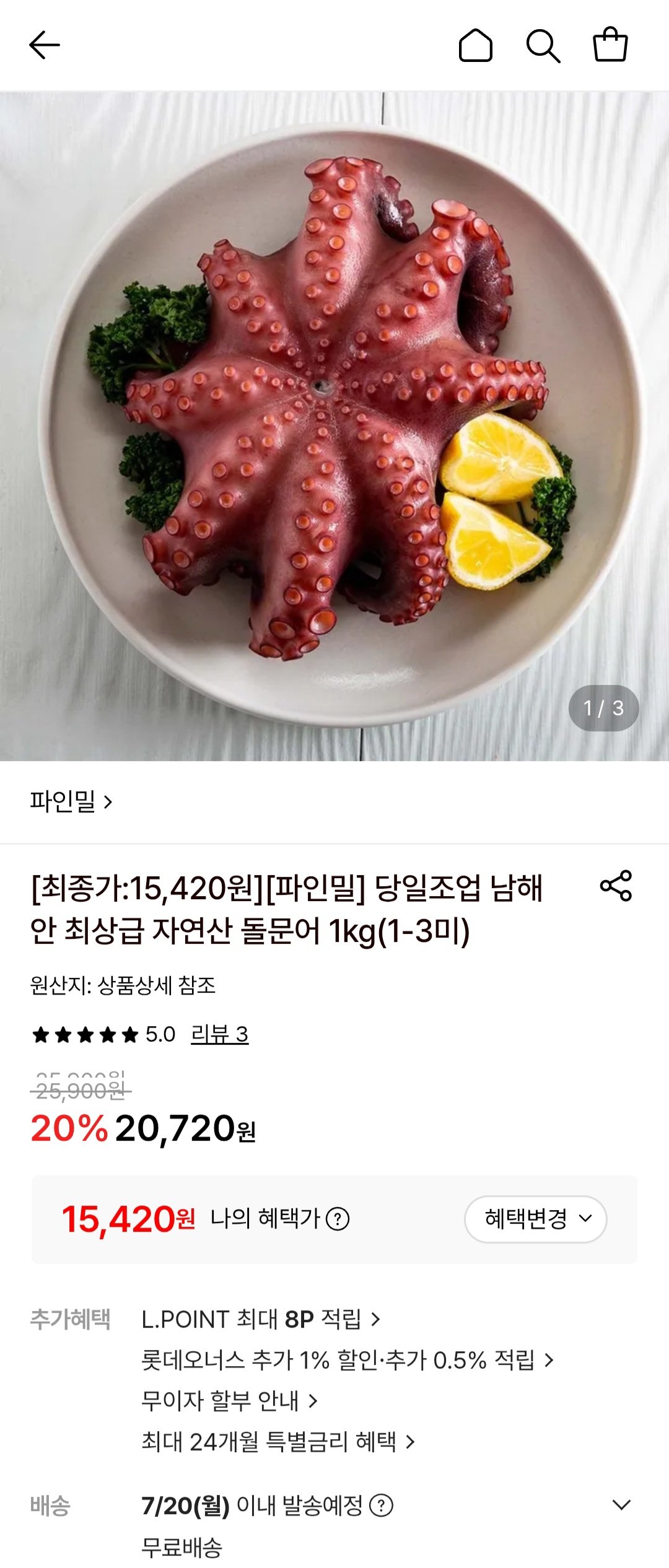 당일조업 남해안 최상급 자연산 돌문어 1kg