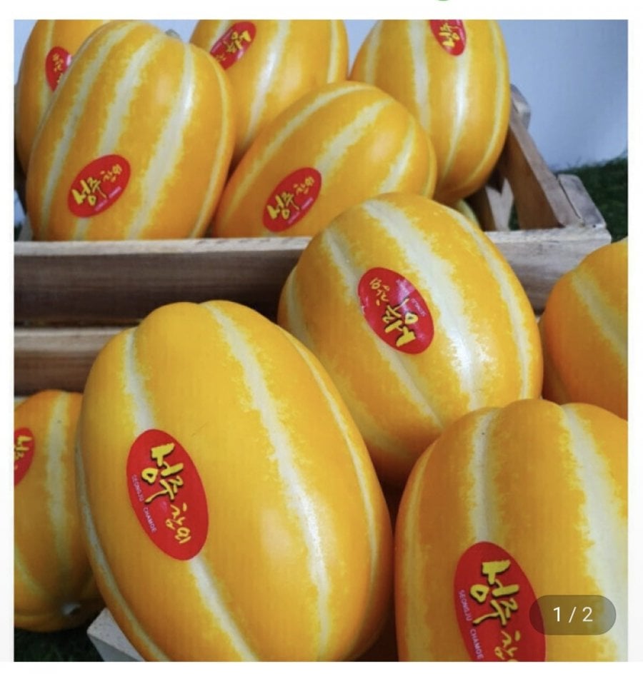 성주참외 가정용 실중량 9kg