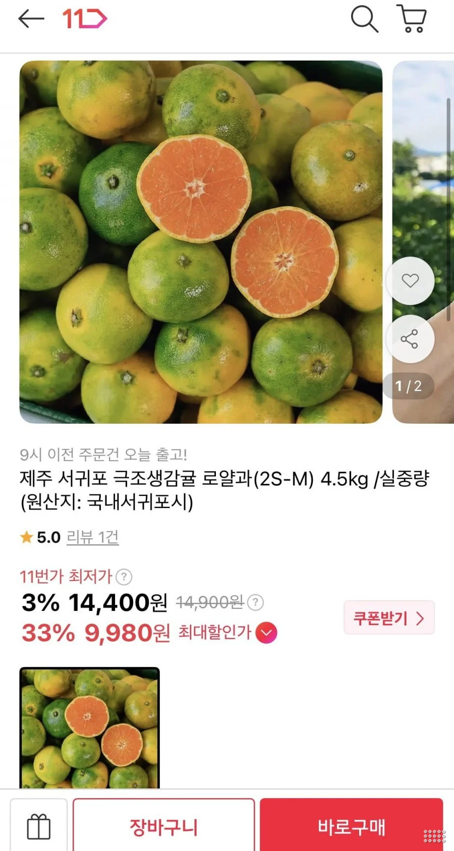 제주 서귀포 극조생감귤 로얄과 4.5kg