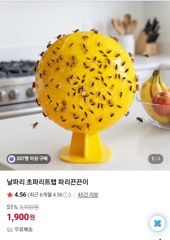 초파리 끈끈이 2개 짜리 옵션 2300원 무배