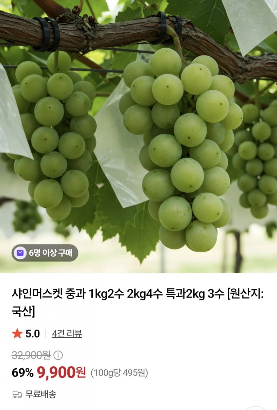 샤인머스켓 중과 1kg 2수