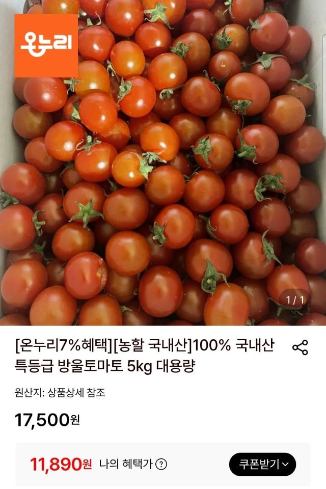 국내산 특등급 방울토마토 5kg 중대과