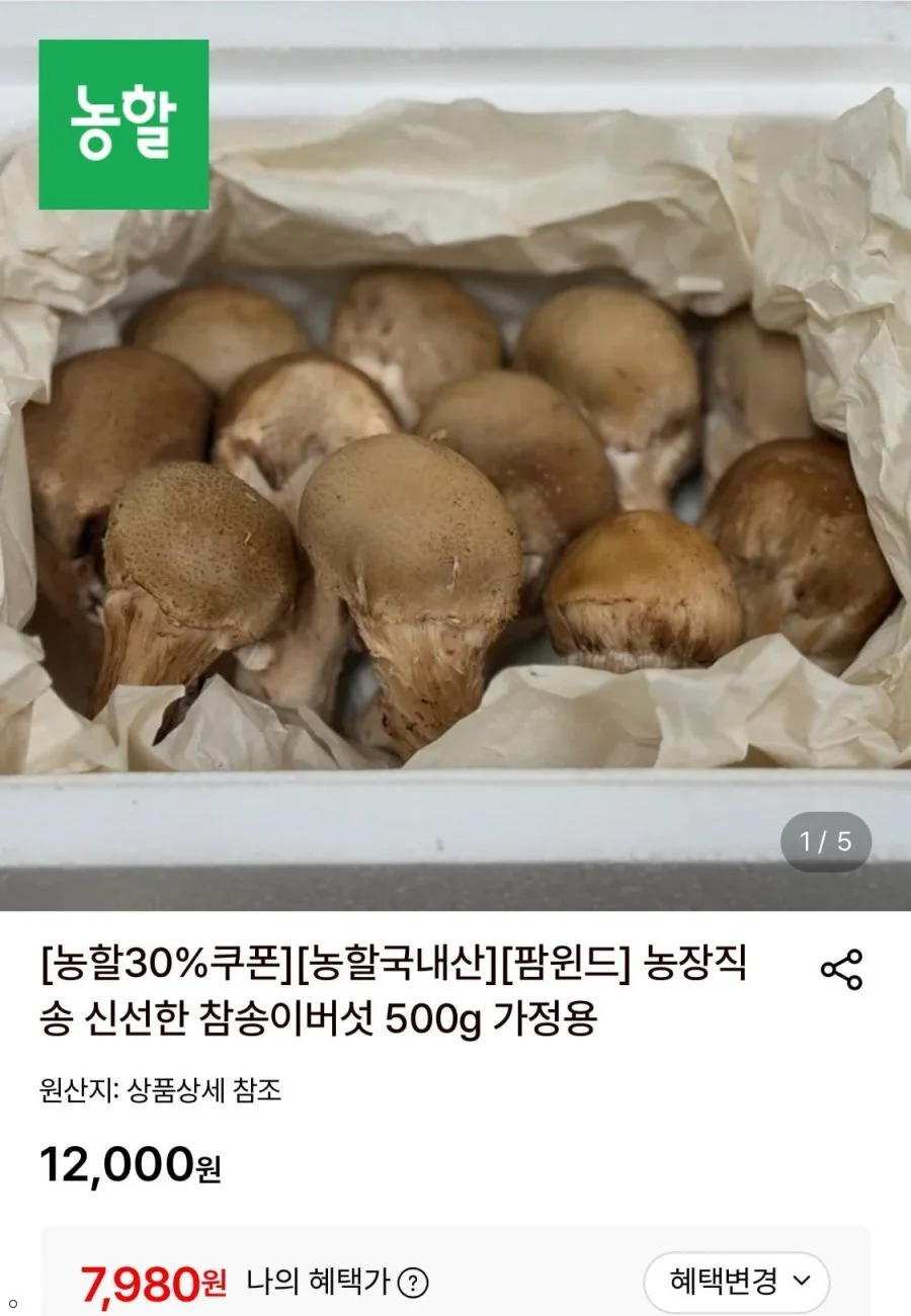 가정용 참송이버섯 500g