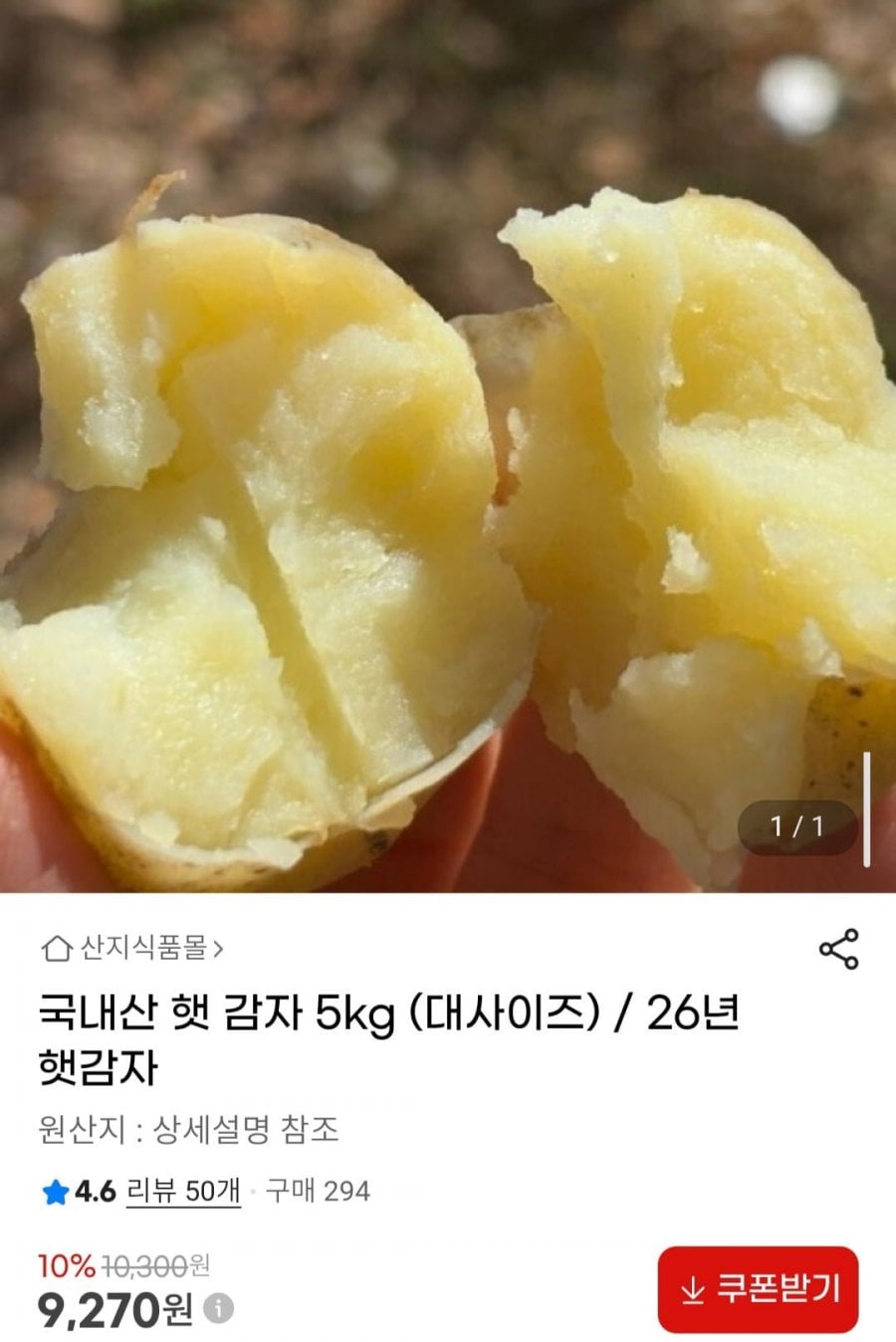 국내산 햇 감자 5kg (대사이즈) / 26년 햇 감자