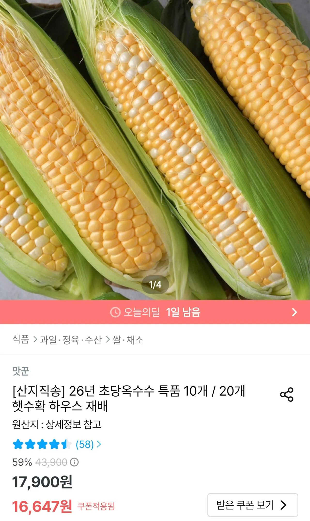 초당옥수수 10개 특품 (14cm이상)