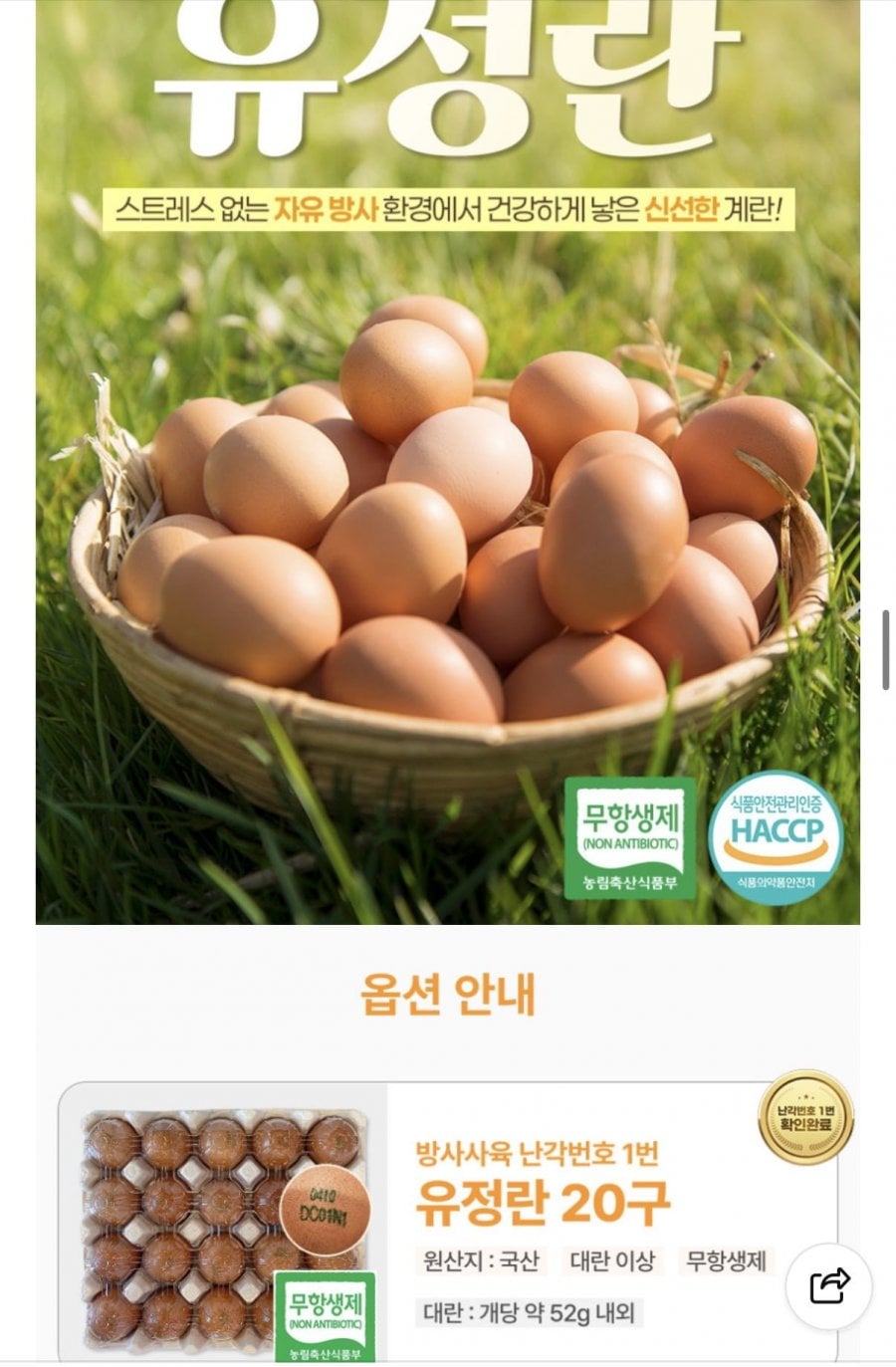 난각번호 1번 유정란 20구X2판