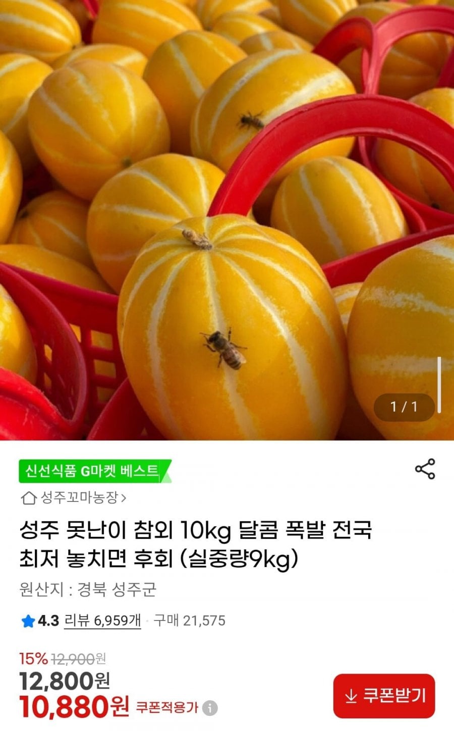 성주 못난이 참외 10kg (실중량9kg)