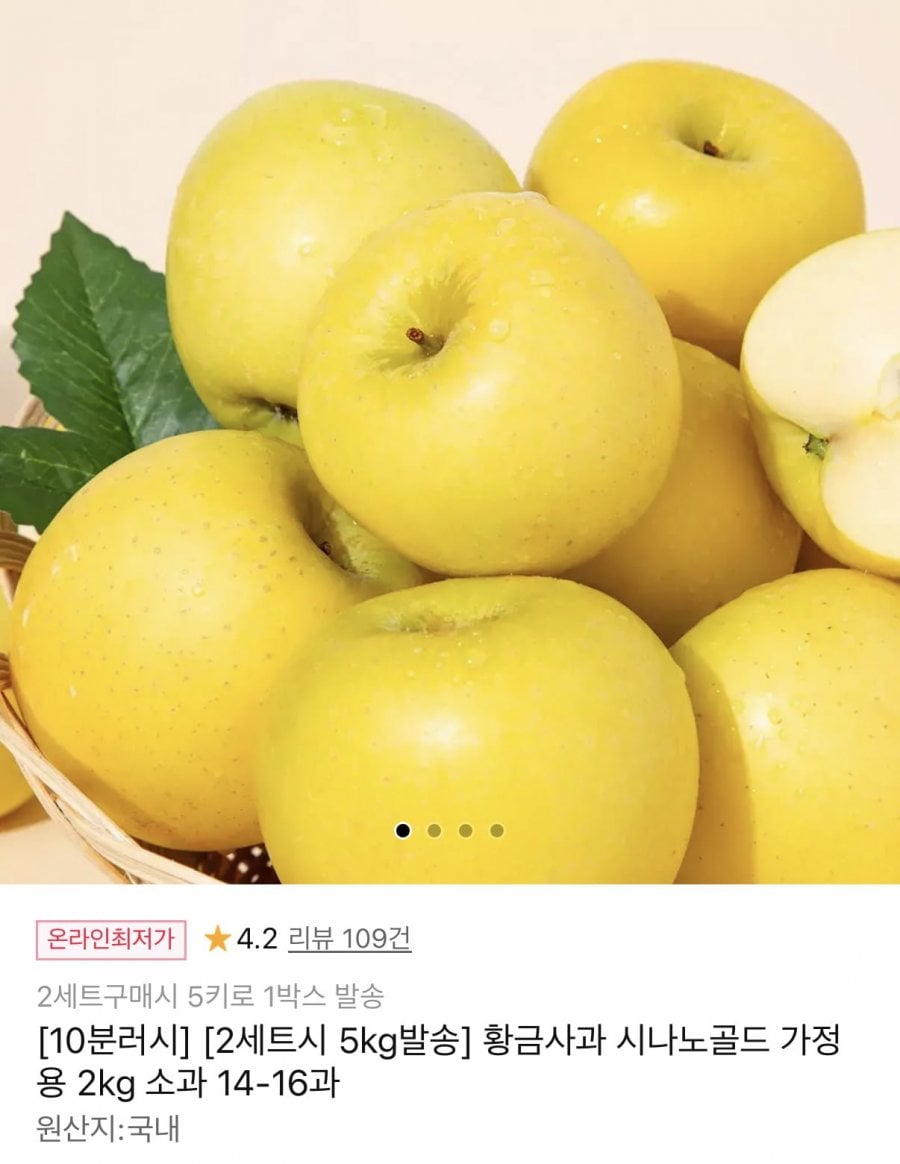 10분러시 황금사과 시나노골드 2kg 소과 14-16과