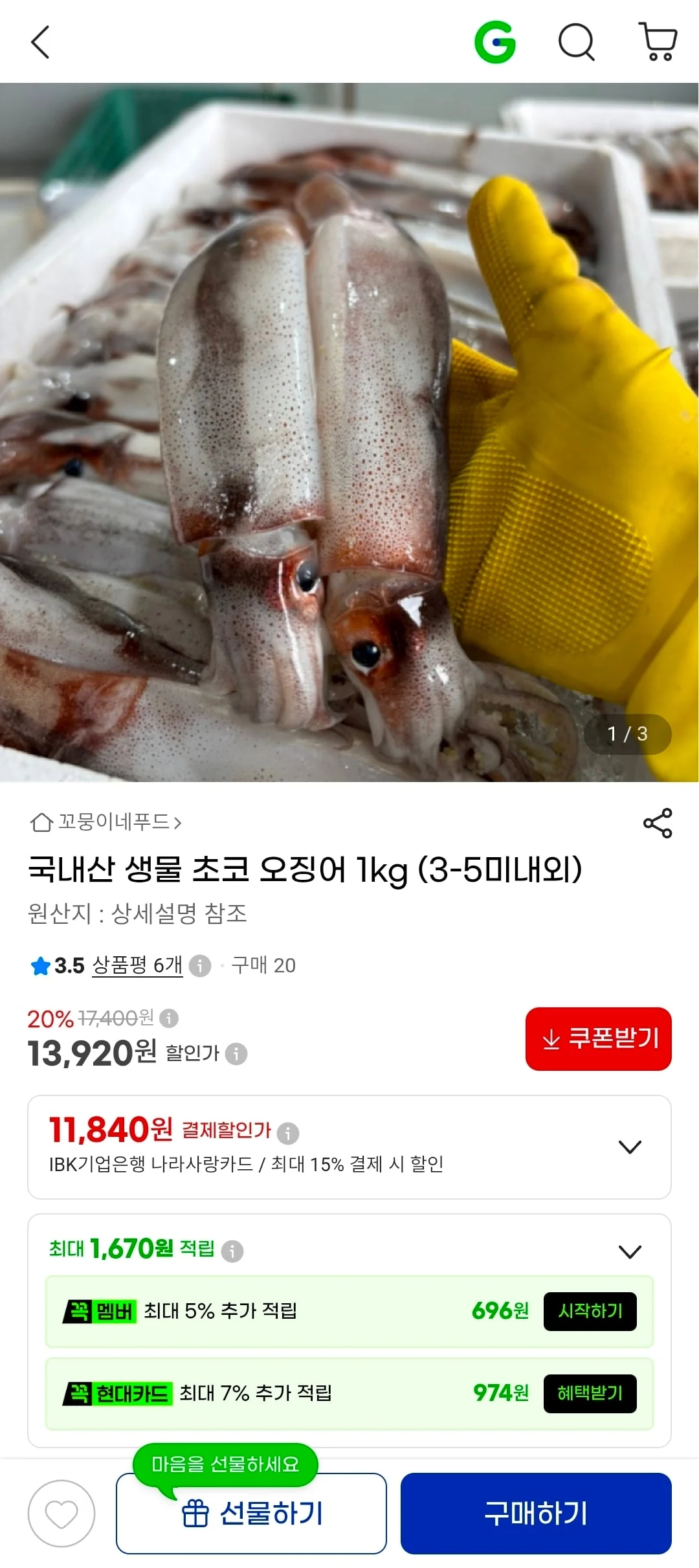 국내산 생물 초코 오징어 1kg (3-5미내외)