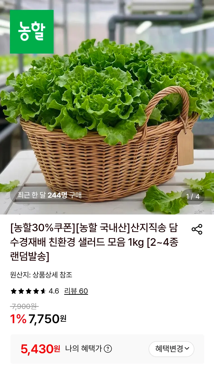 샐러드 모음 1kg 2~4종