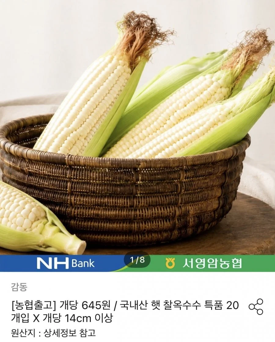 국내산 햇 찰옥수수 20개입