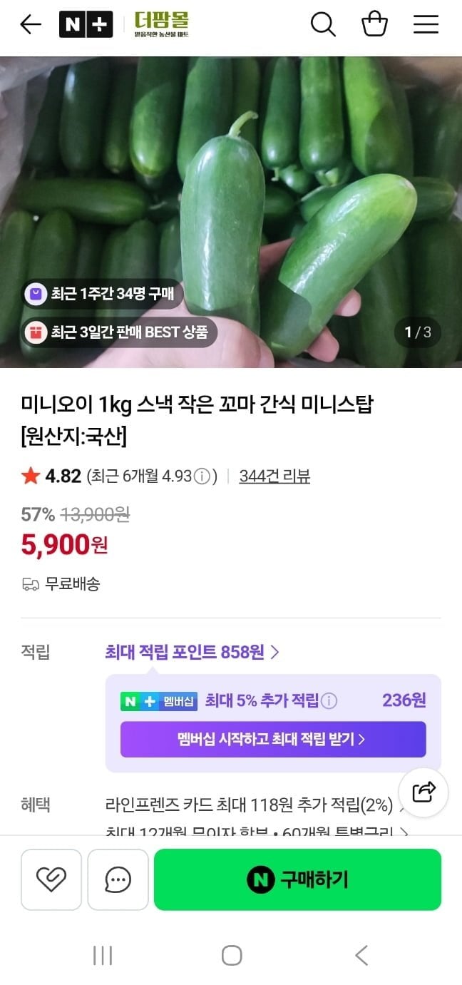 미니오이 1kg