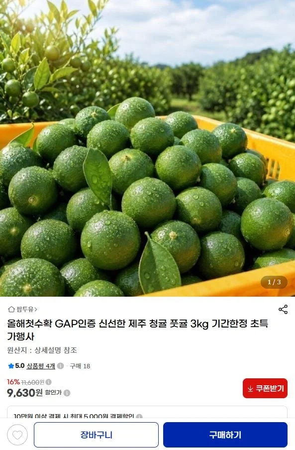 GAP인증 제주 청귤 3kg