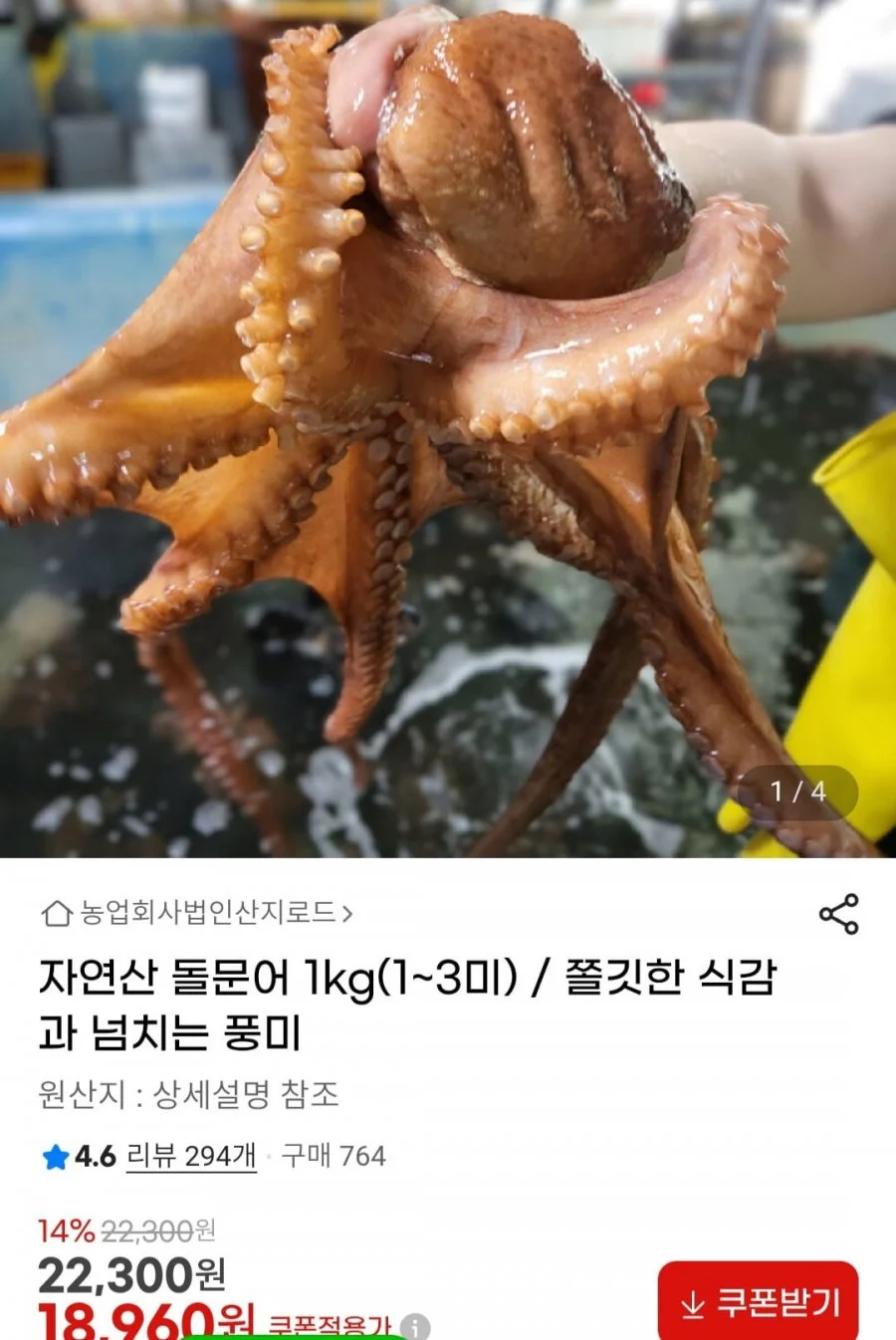 자연산 돌문어 1kg