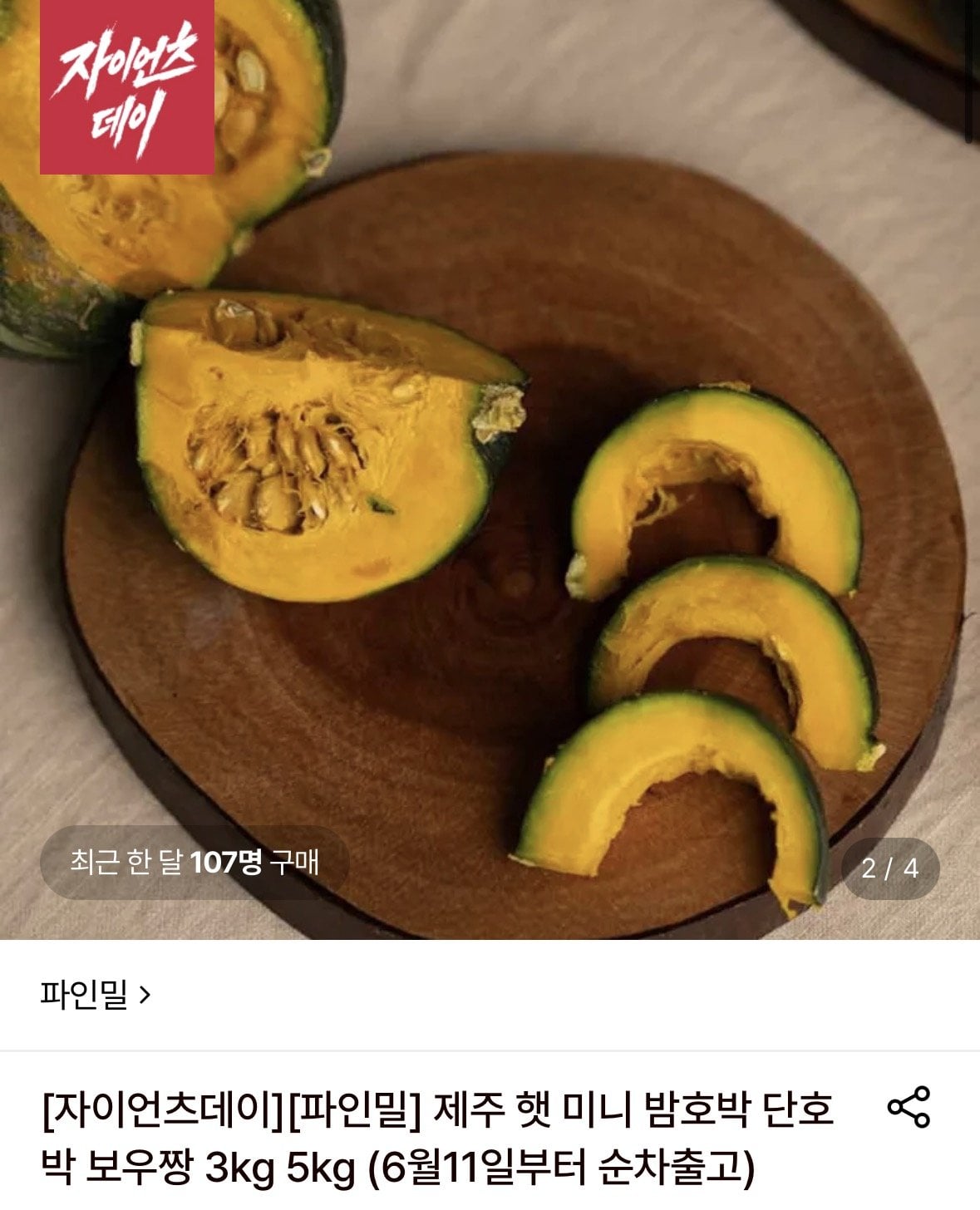 제주 햇 미니 밤호박 못난이 소과 혼합 5kg