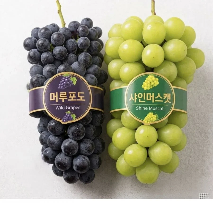 머루포도3kg 4-6수