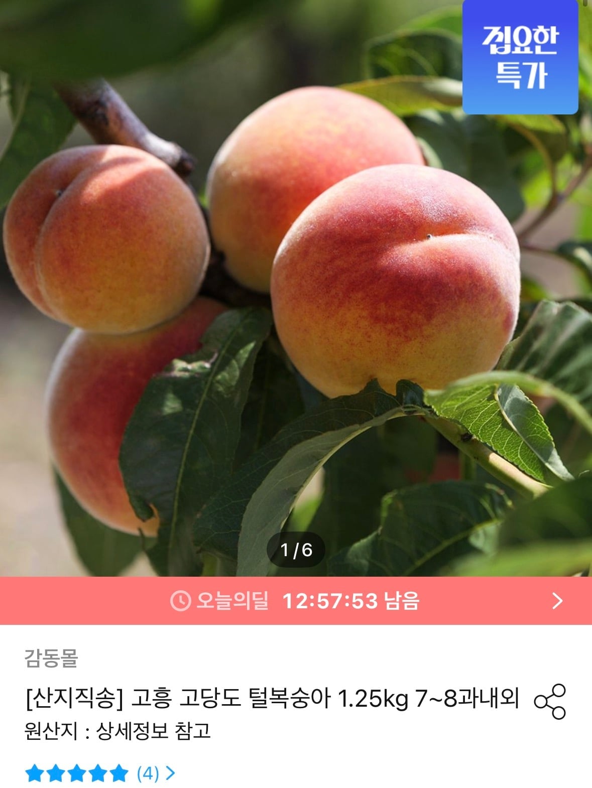 고흥 고당도 아삭달콤 털복숭아 1.25kg 7~8과내외