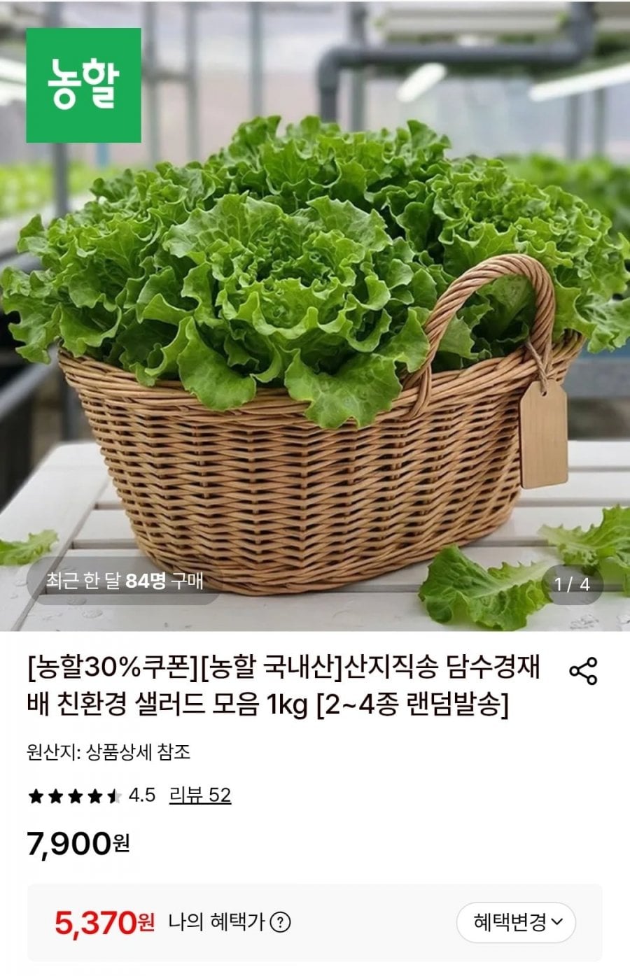 담수경재배 친환경 유러피안 샐러드1kg(2~4종랜덤)