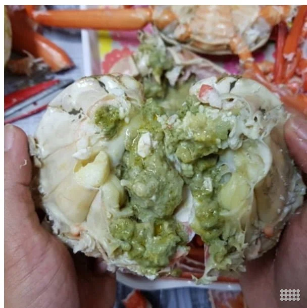 구룡포 자숙 홍게 A급 5kg