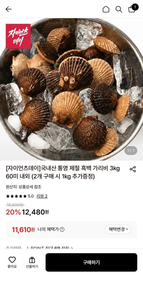 국내산 통영 제철 흑백 가리비 3kg 60미 내외 (2개 구매 시 1kg 추가증정)