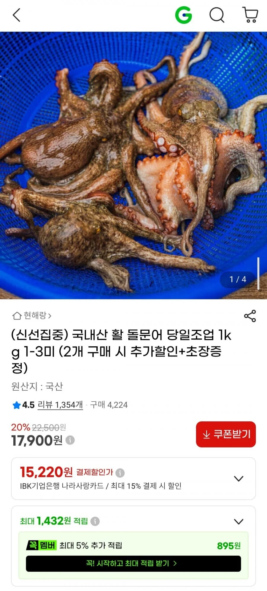 국내산 활 돌문어 당일조업 1kg 1-3미