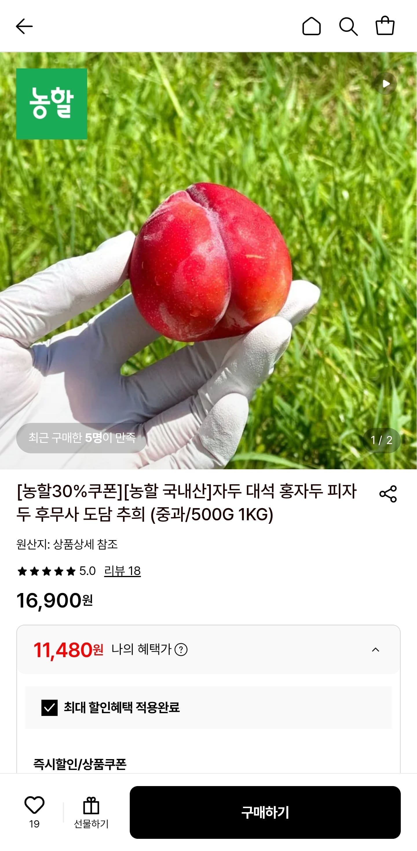 대석 자두 1kg 15과 내외