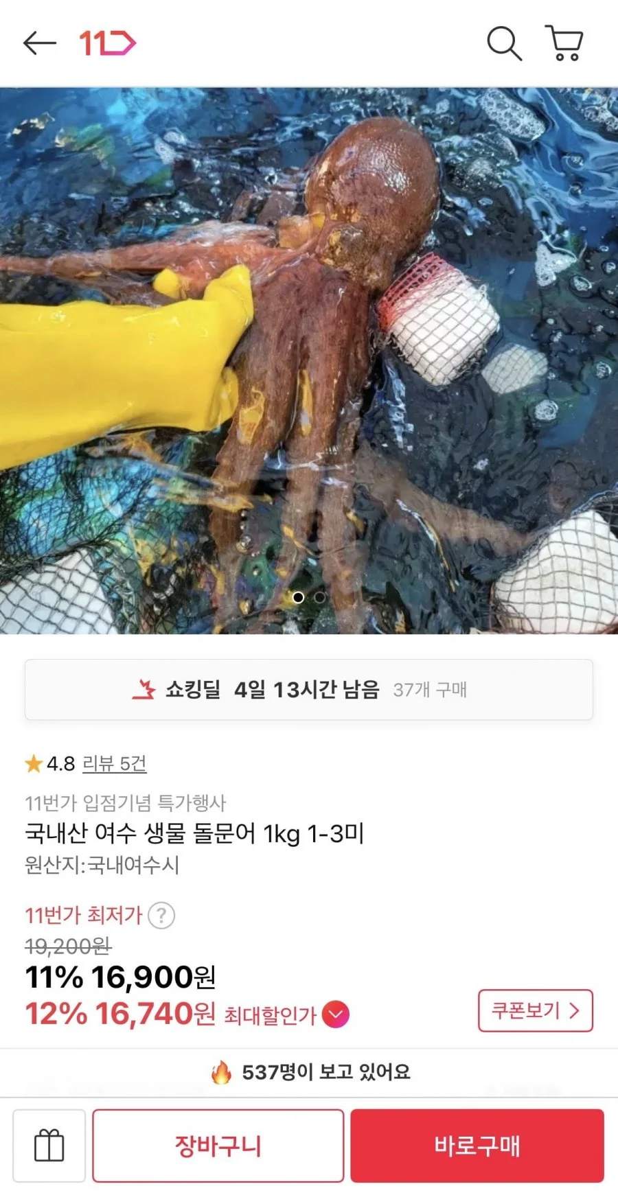 국내산 여수 생물 돌문어 1kg