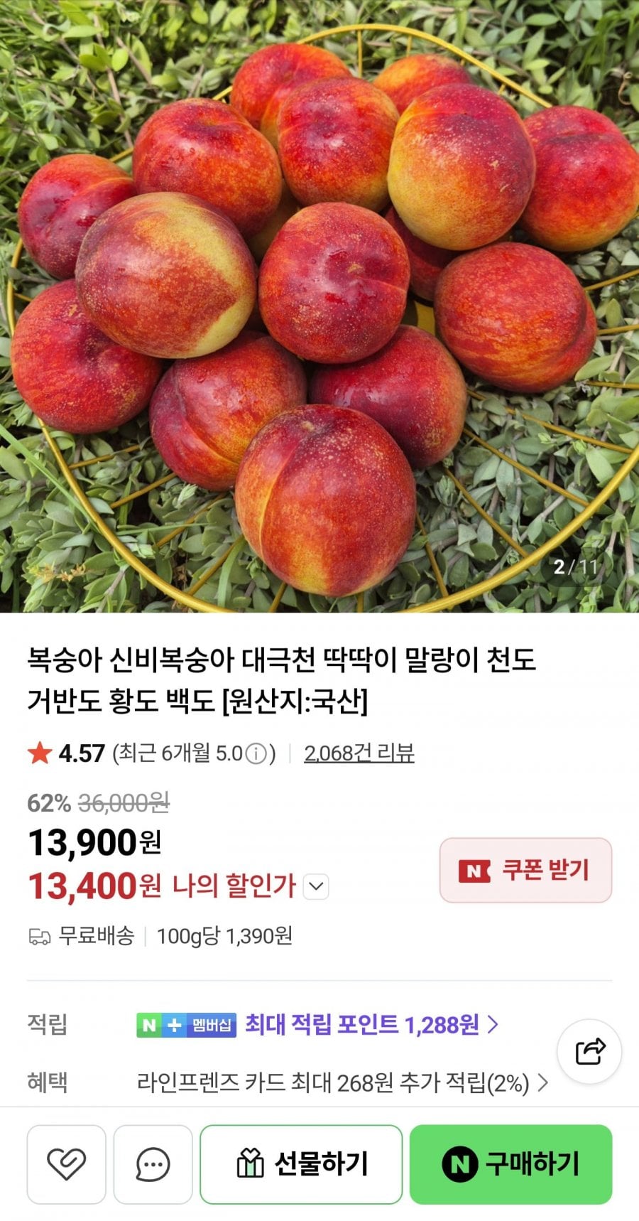 신비복숭아 1kg 로얄과
