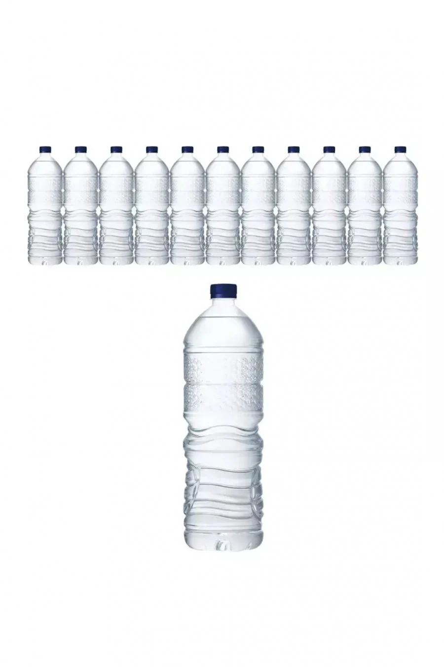 강원평창수 무라벨 2L 12병