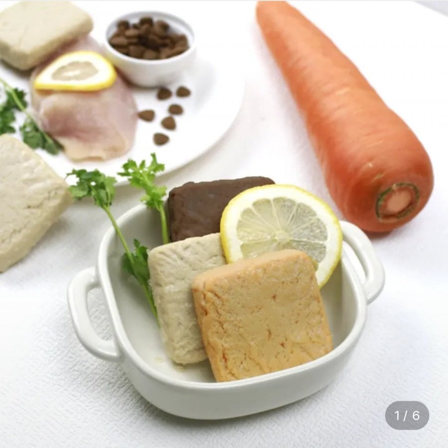 천방지축 닭가슴살 테린 강아지 화식 50g x 10개