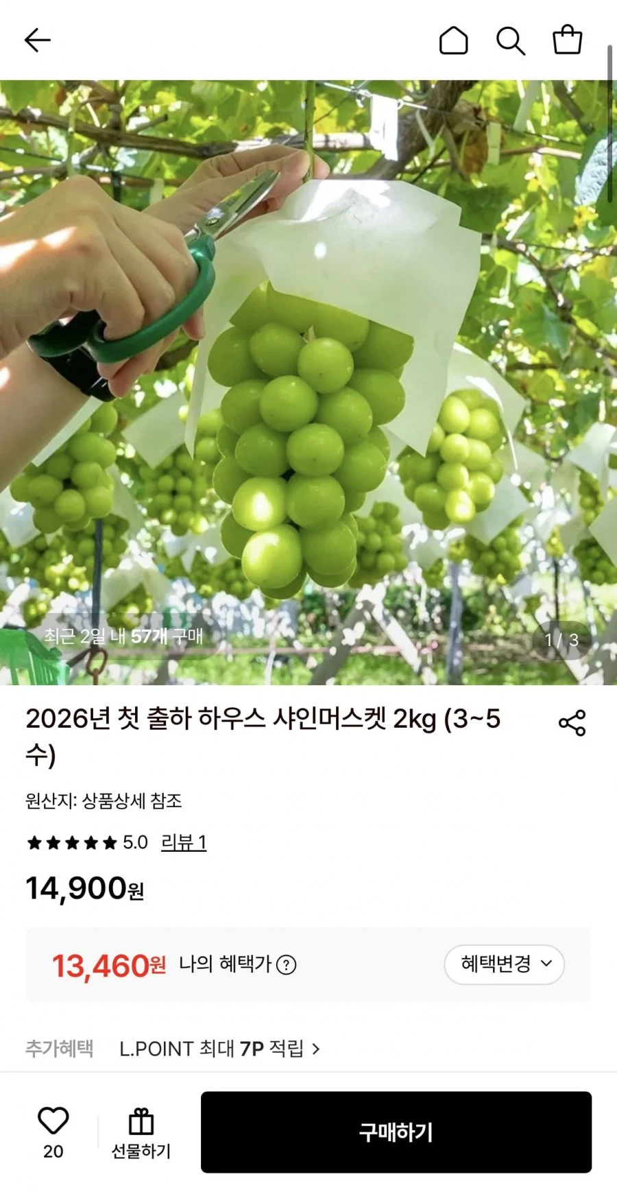 국내산 샤인머스켓 2kg