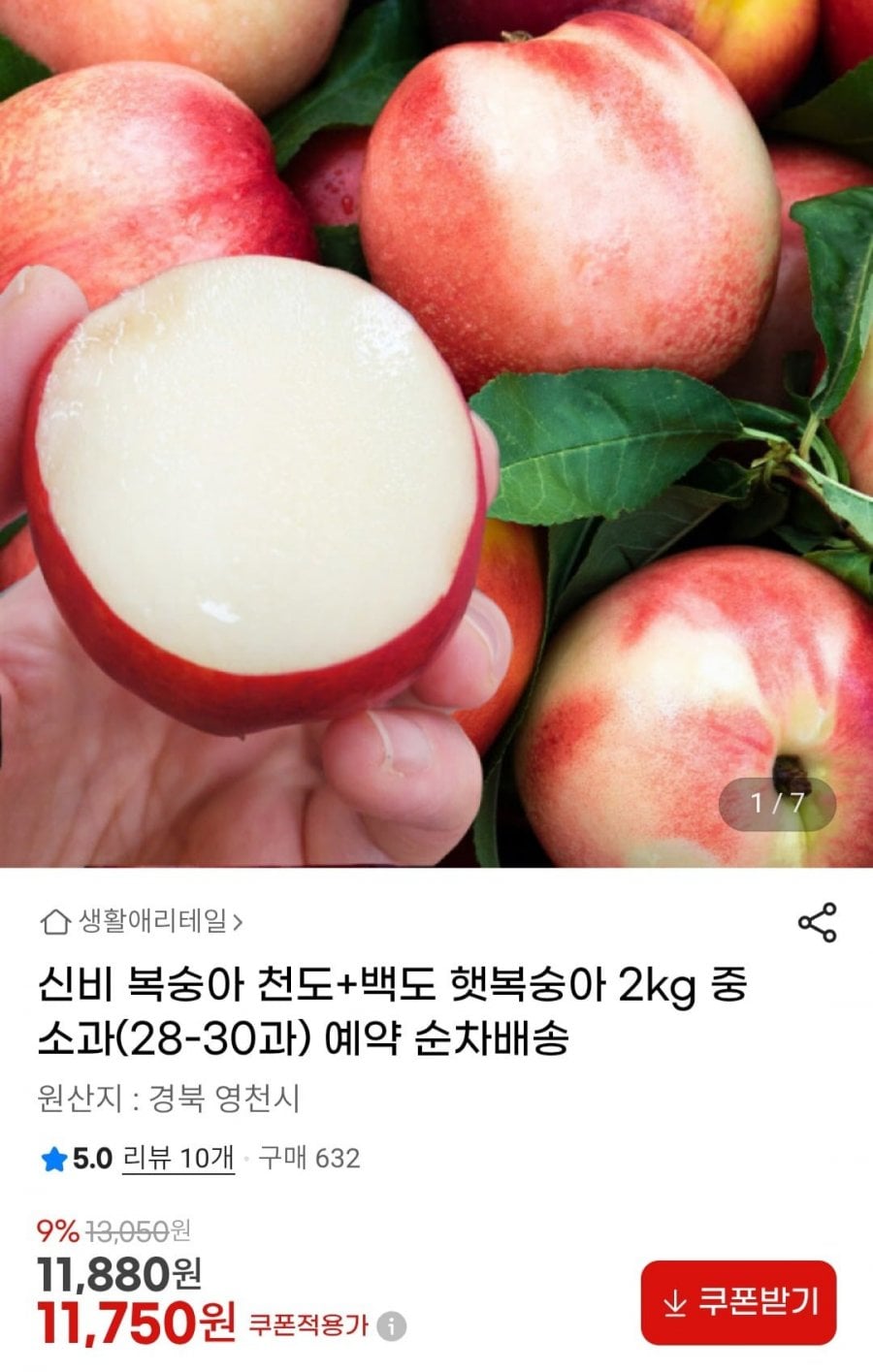 신비 복숭아 천도+백도 햇복숭아 2kg 중소과(28-30과) 예약 순차배송