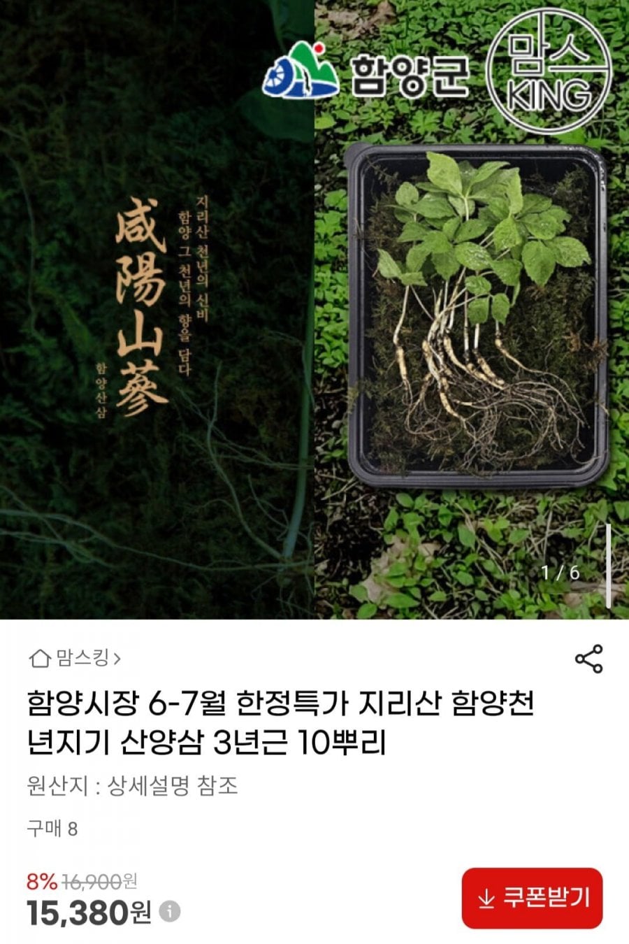 함양시장 지리산 함양천년지기 산양삼 3년근 10뿌리