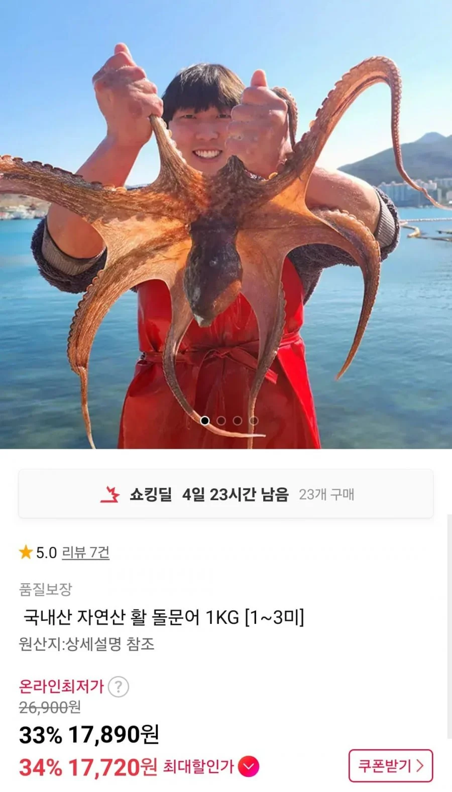 국내산 자연산 활 돌문어 1KG 1~3미