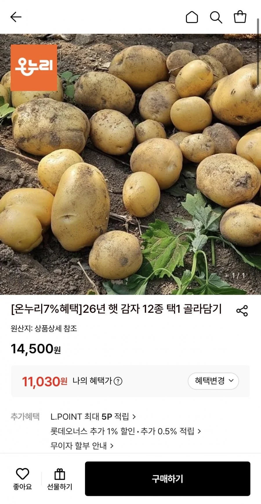 햇 감자 중 10kg 조림&알감자용 중량 (50g~80g)