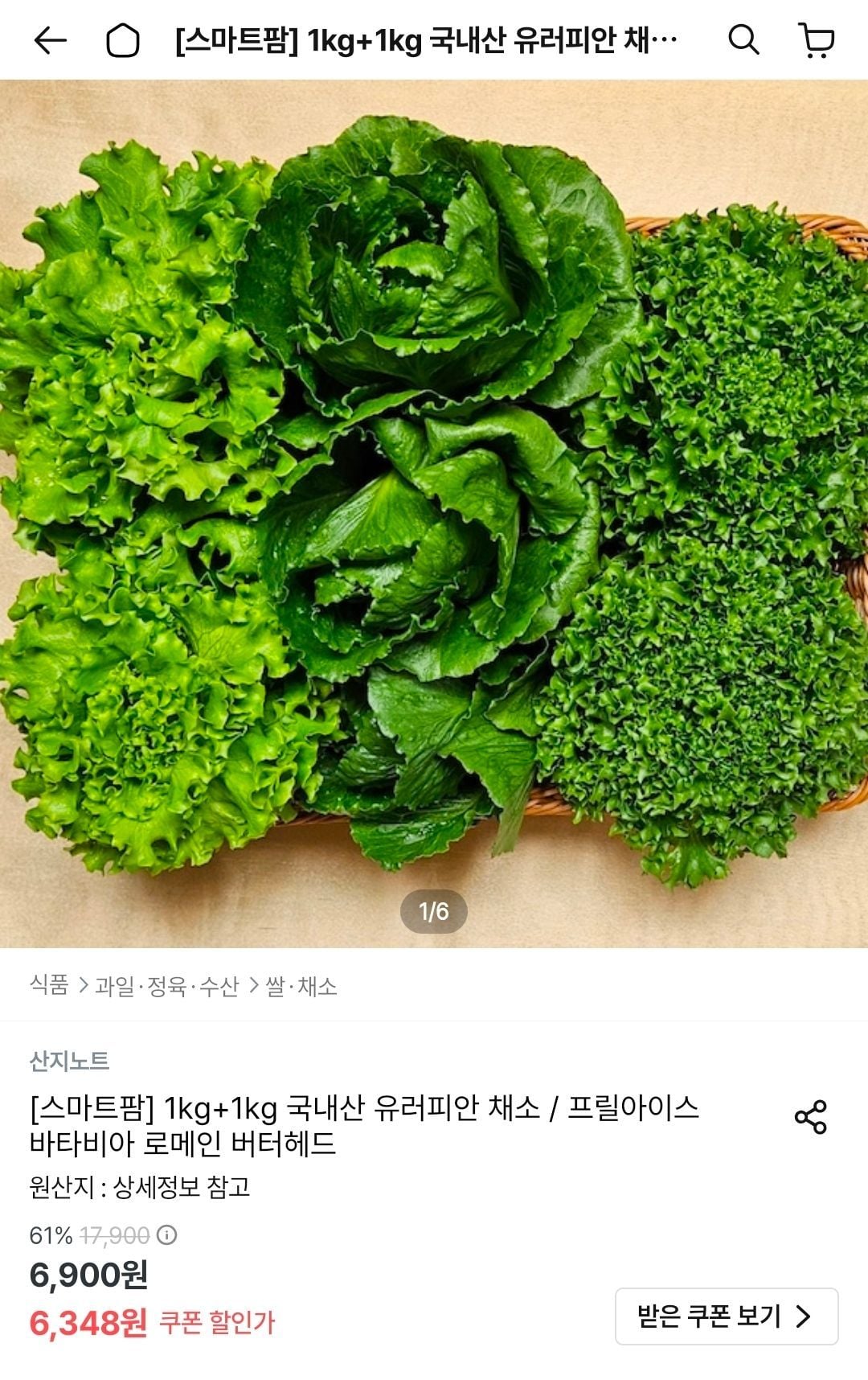 국내산 유러피안 채소 1kg+1kg